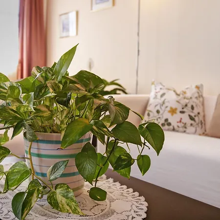 Holiday home Casa Fefa Candelaria