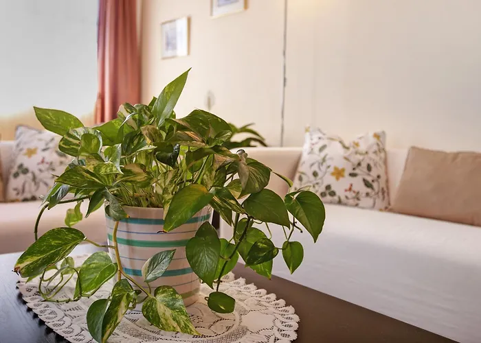 Hébergement de vacances Casa Fefa Candelaria